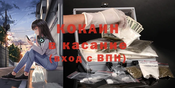 винт Пересвет